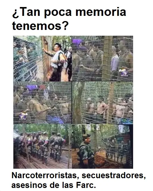 armado armado