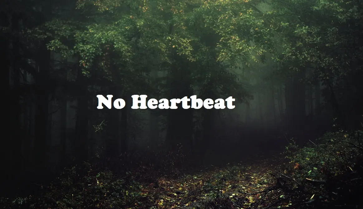 No Heartbeat - Capitulo 1