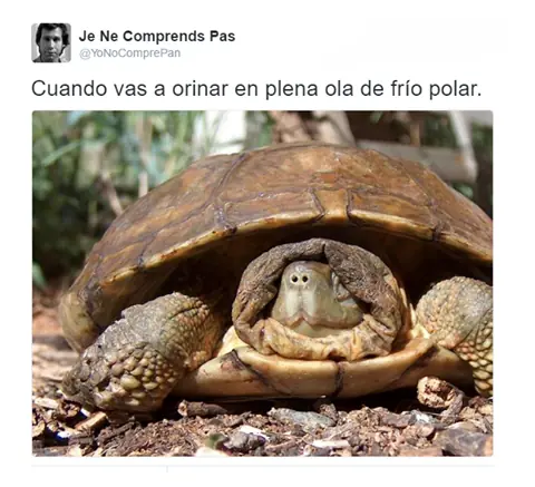Si Te ríes pierdes [Vol.2] Encuentra a Bill Clinton