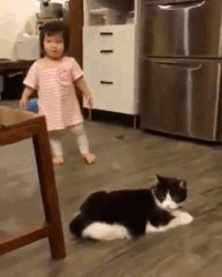 gif graciosos gif graciosos