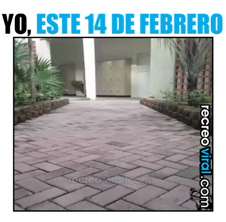 humor humor