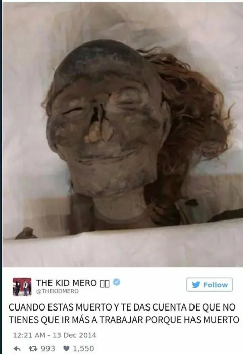 entendera