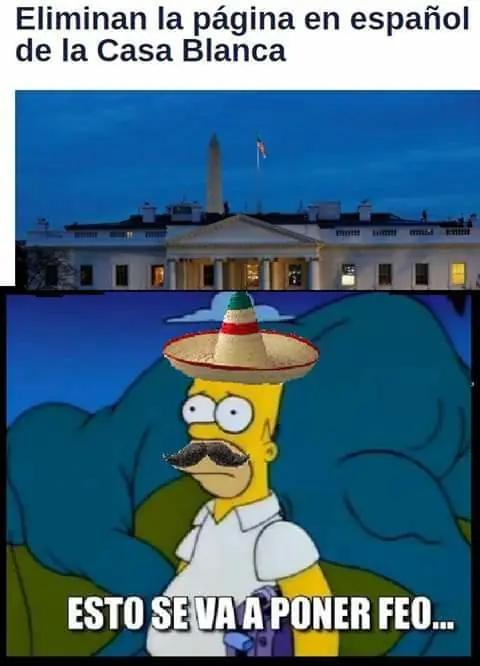 gif graciosos