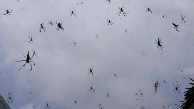 Las 6 cosas más escalofriantes que han caído del cielo