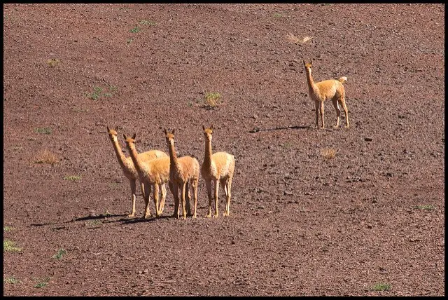 salta argentina