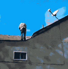gif graciosos