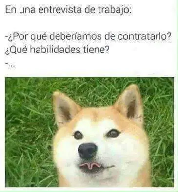 gif graciosos