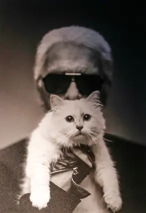 10 famosos