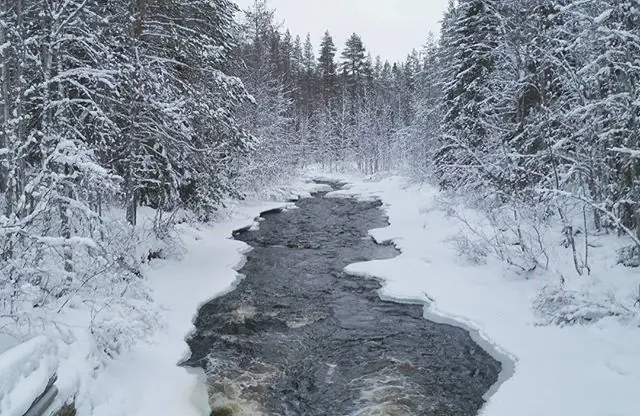 finlandesas