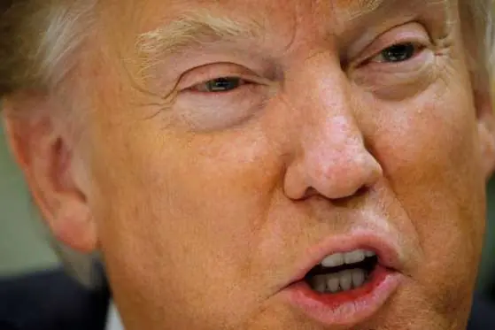 donald trump donald trump
