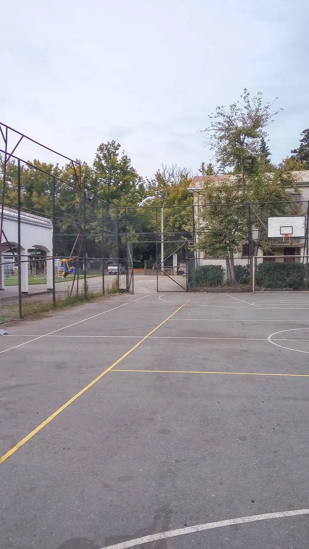 Me encontré a Caminin en Chile y te lo muestro