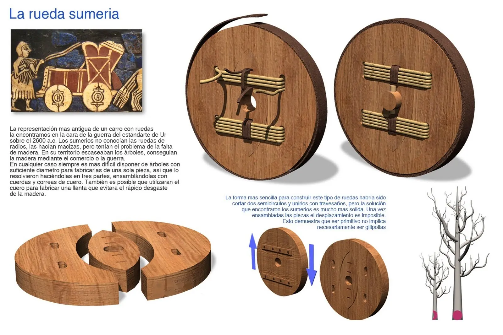 medio oriente