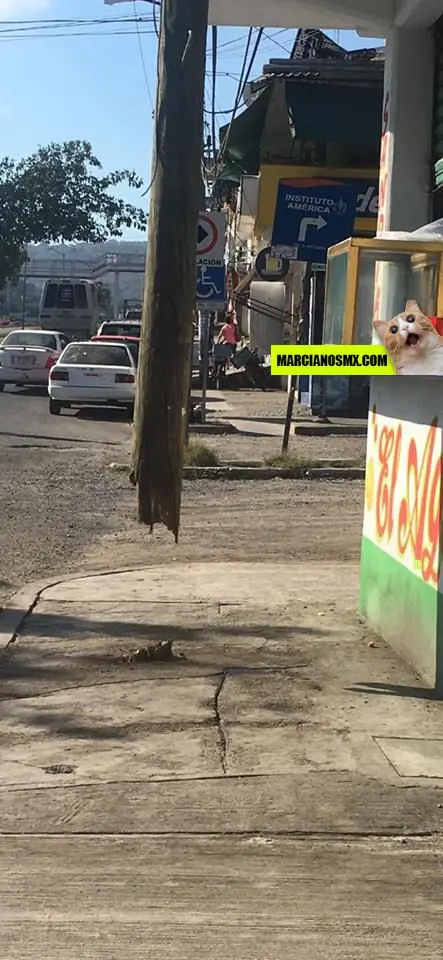 Imagenes