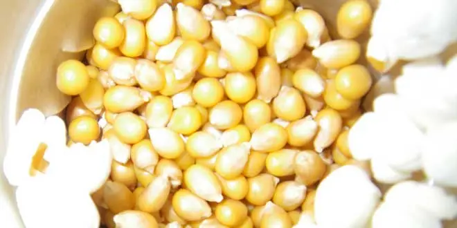 ¿Sabes por qué explotan las palomitas?