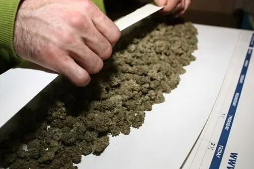 La ONU pidió despenalizar la tenencia de drogas para consumo