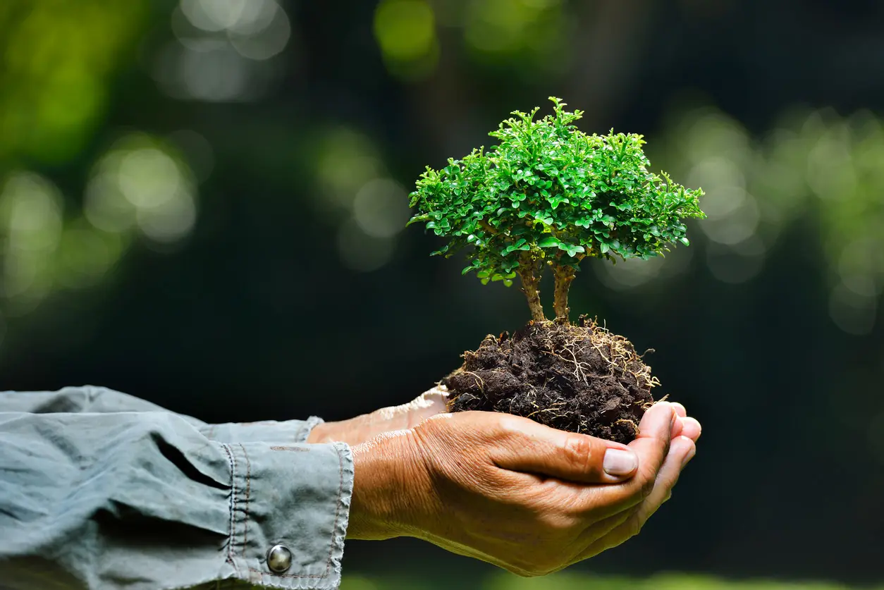 medio ambiente