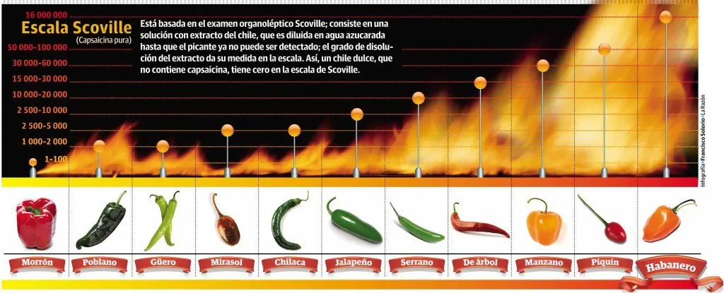 planta