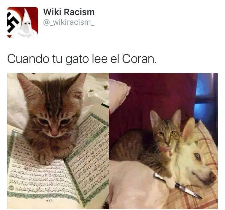 imagenes