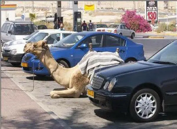 humor