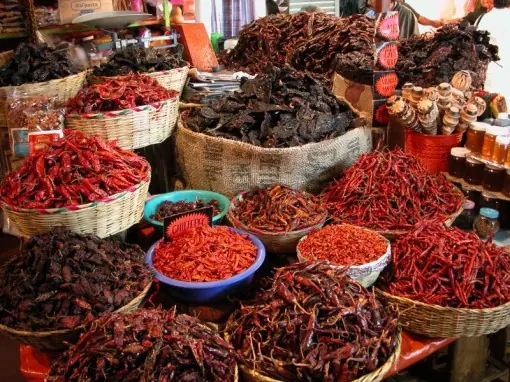 Chile, sientate y te lo muestro.