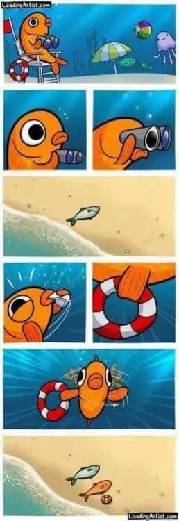 Humor nocturno para los linces de la pradera