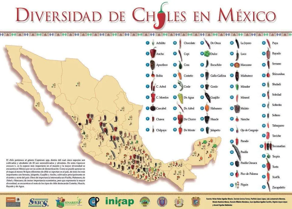 chile