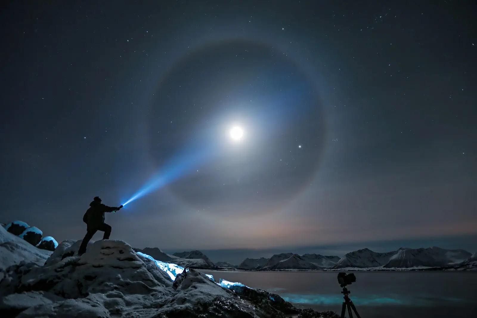 Halos