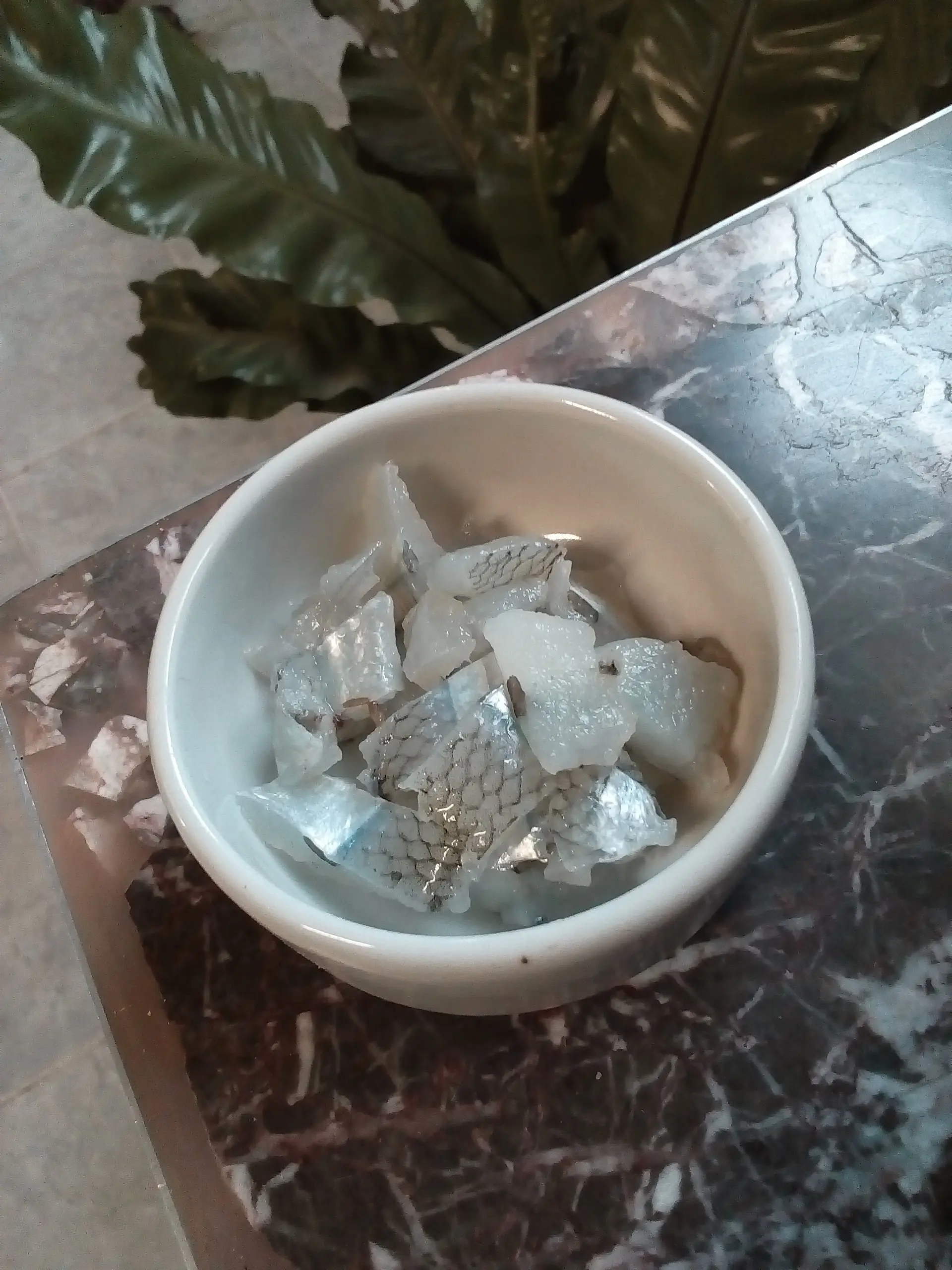 ceviche
