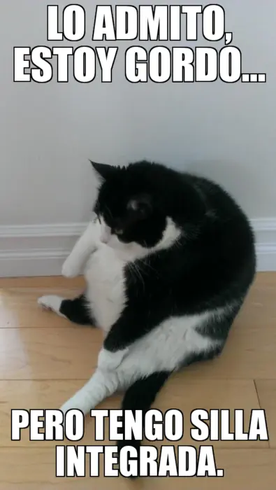 solo solo