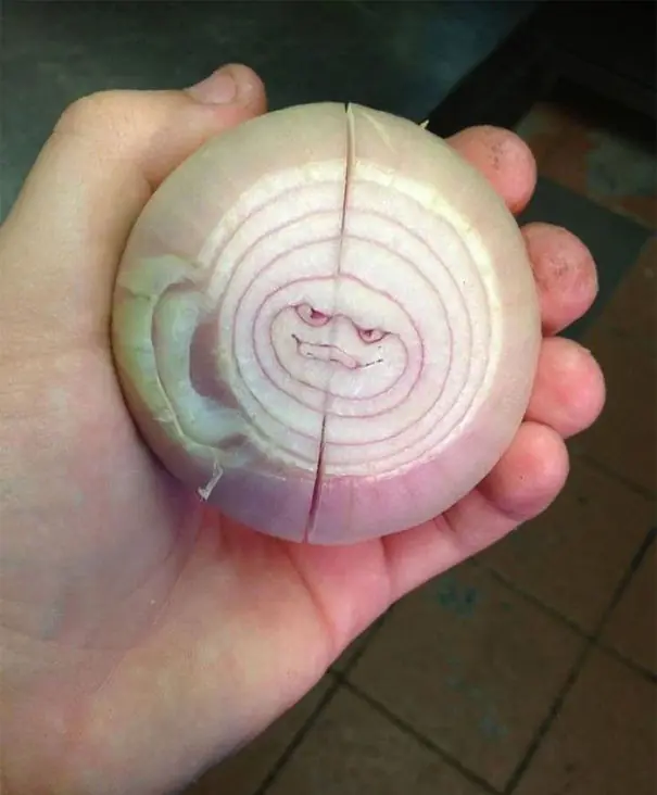 pareidolia pareidolia