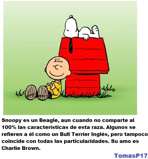 ¿Te acordas de Cartoon Network de hace unos años?