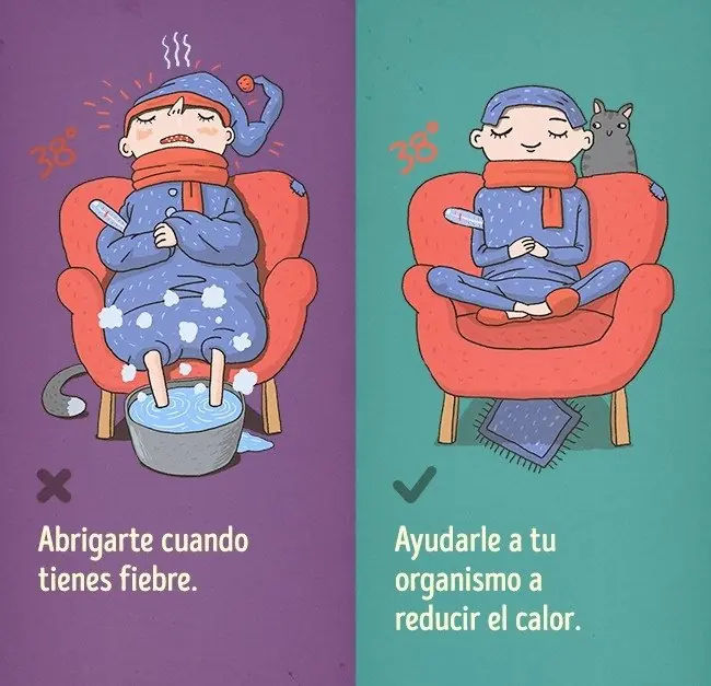 auxilios