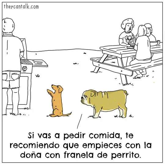 Si las mascotas hablaran... (Humor del bueno)
