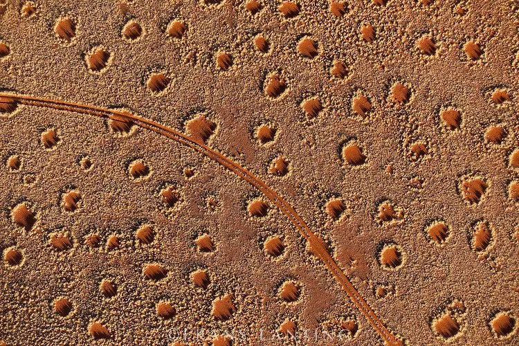 Las 6 rarezas mas asombrosas de los desiertos