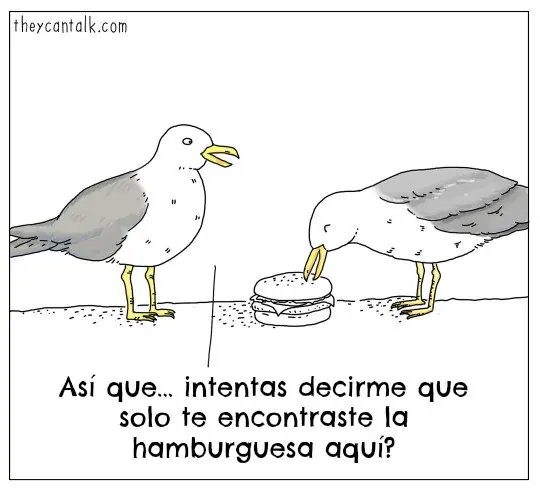 Mascotas