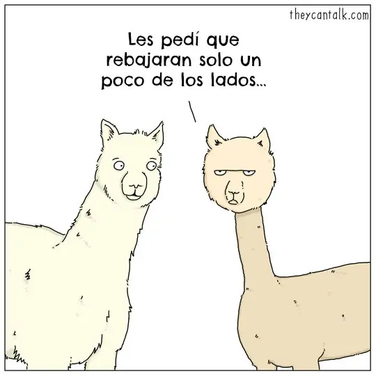 Imagenes