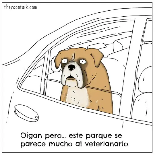 Comedia