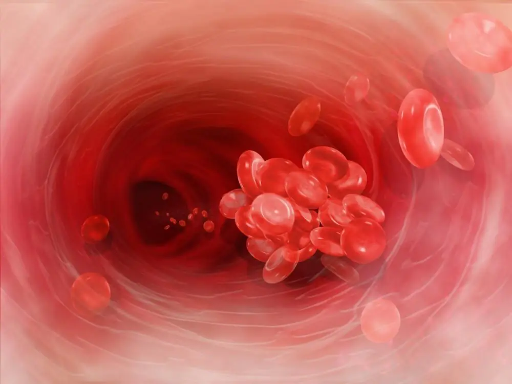 Informacion interesante de la sangre que tal vez no sabias Informacion interesante de la sangre que tal vez no sabias