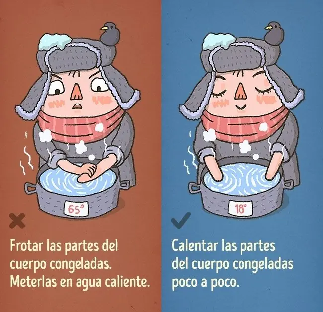ciencia