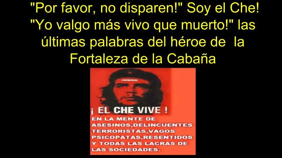 estupidez