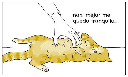 Mascotas