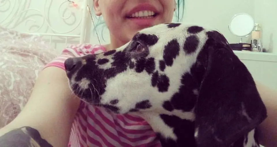 amor