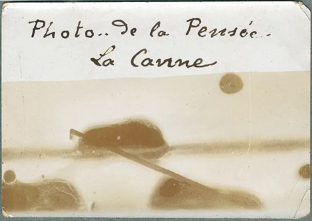 fotografia fotografia