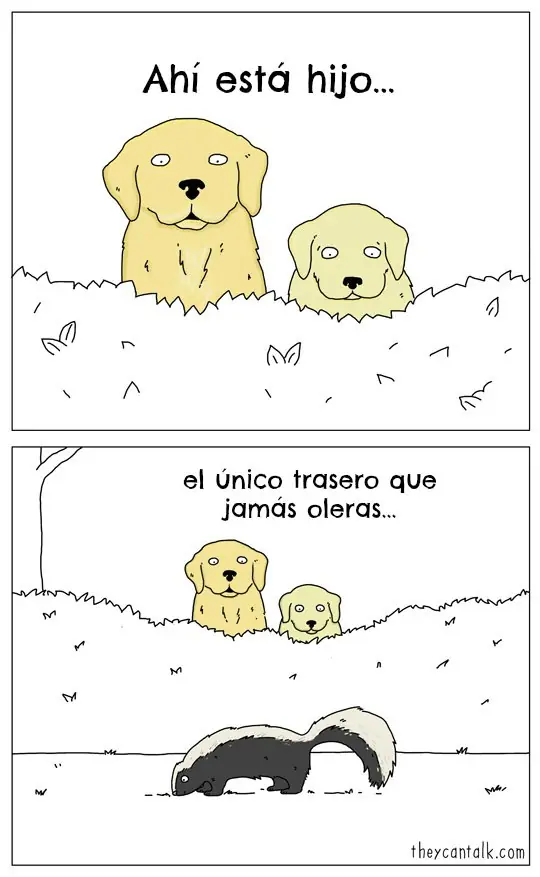 Animales