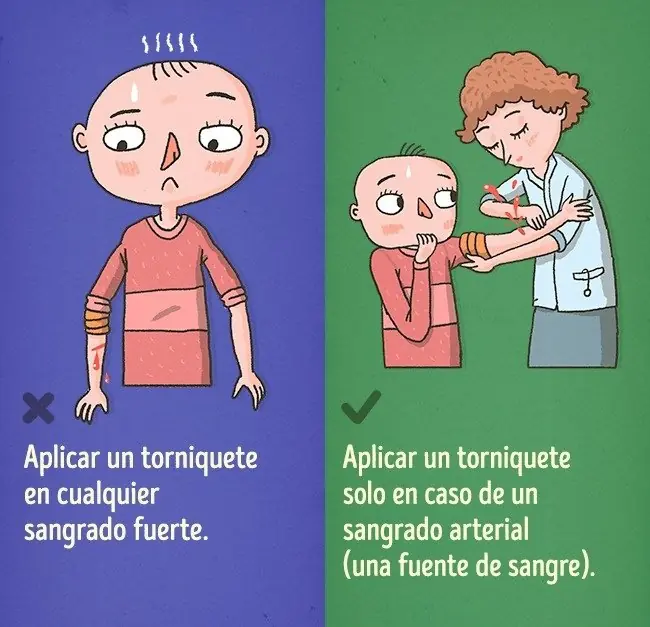 primeros