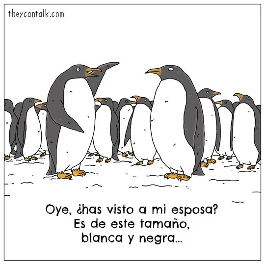 Taringa