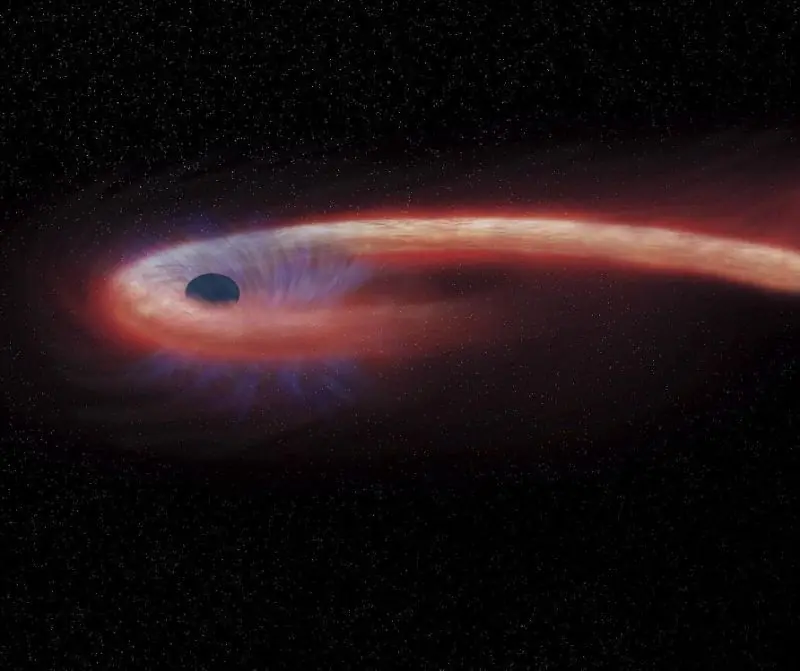 Agujero negro pasa una decada devorando una estrella