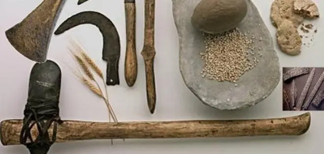 Las 6 rarezas mas asombrosas de los desiertos Las 6 rarezas mas asombrosas de los desiertos