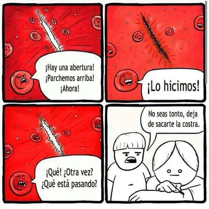 risa