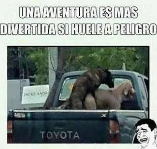 +10 si te reís con alguna, sino denunciame